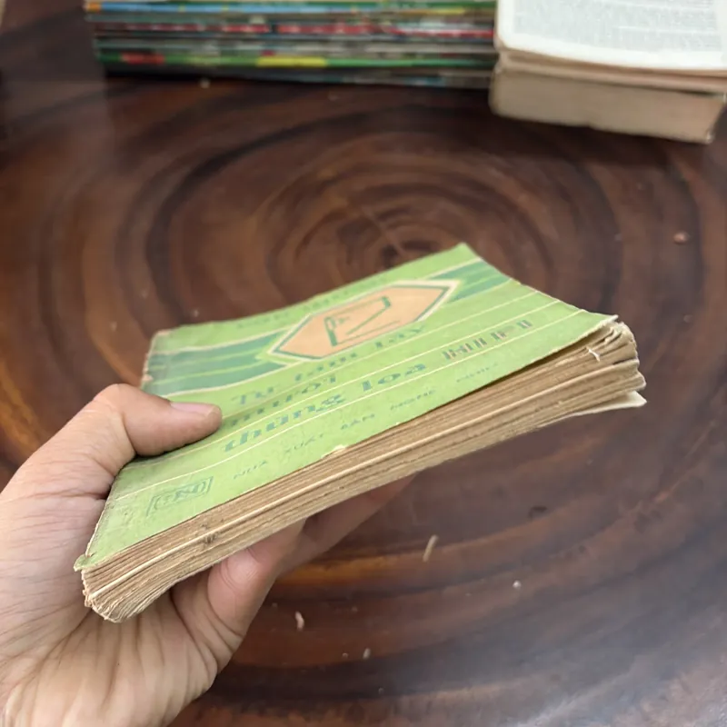 II Sách Kỹ Thuật: Tự Làm Lấy Mười Thùng Loa Hifi - PIERRE CHAUVIGNY - 1987 996996