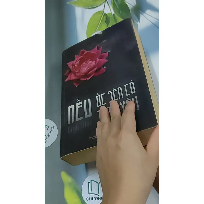 Nếu ốc sên có tình yêu - Đinh Mặc 688711