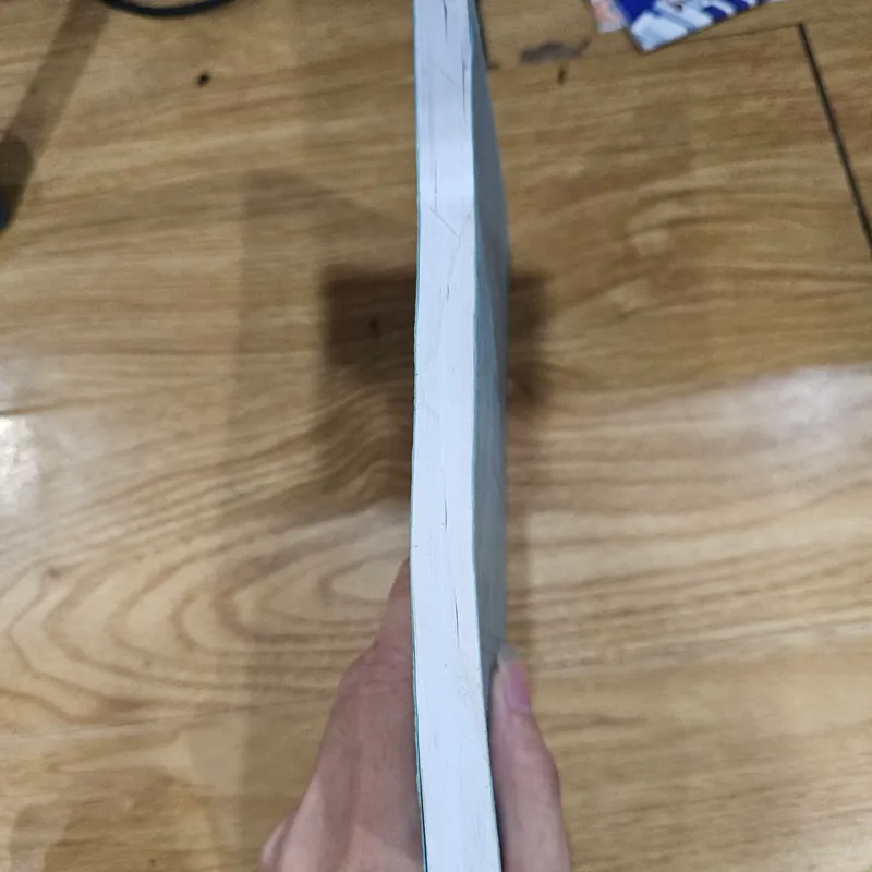 Việt - Nam tranh đấu sử (sách photo)
 688287