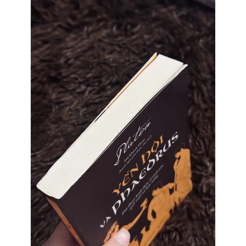 Yến Hội - Plato 994934