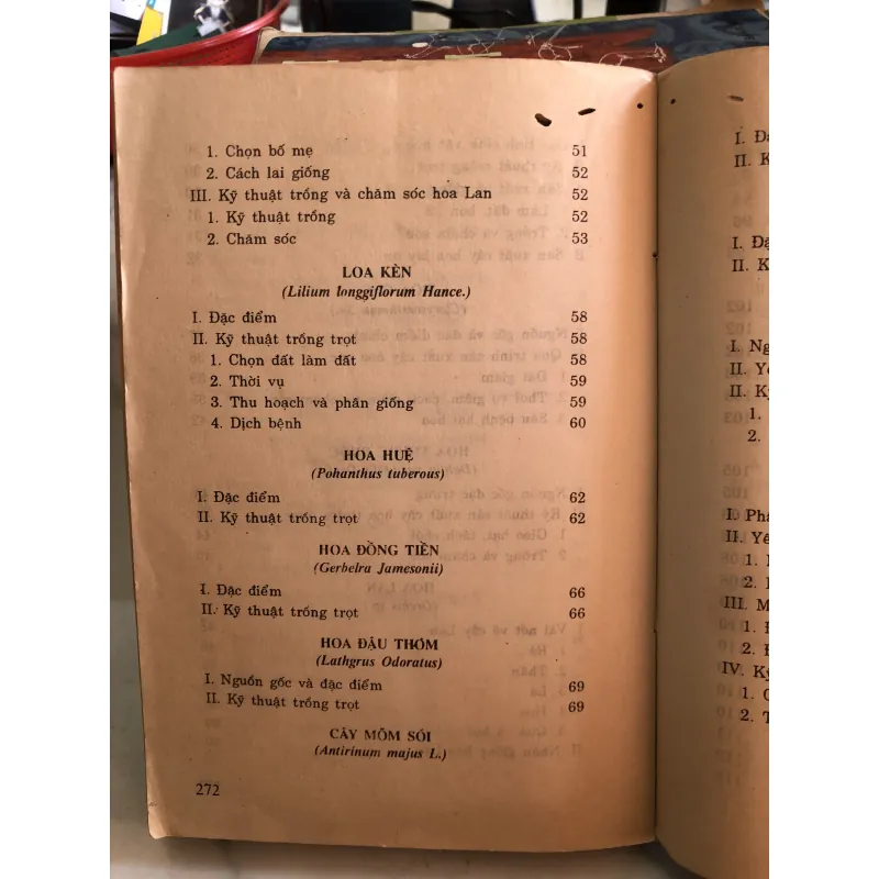 Trồng hoa cây cảnh trong gia đình - Nguyễn Huy Trí - Đoàn Văn Lư 1001807