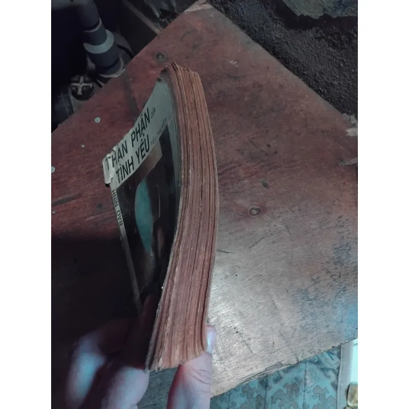 Tiểu thuyết Thân phận của tình yêu ( Nỗi buồn chiến tranh ) của Bảo Ninh  733825