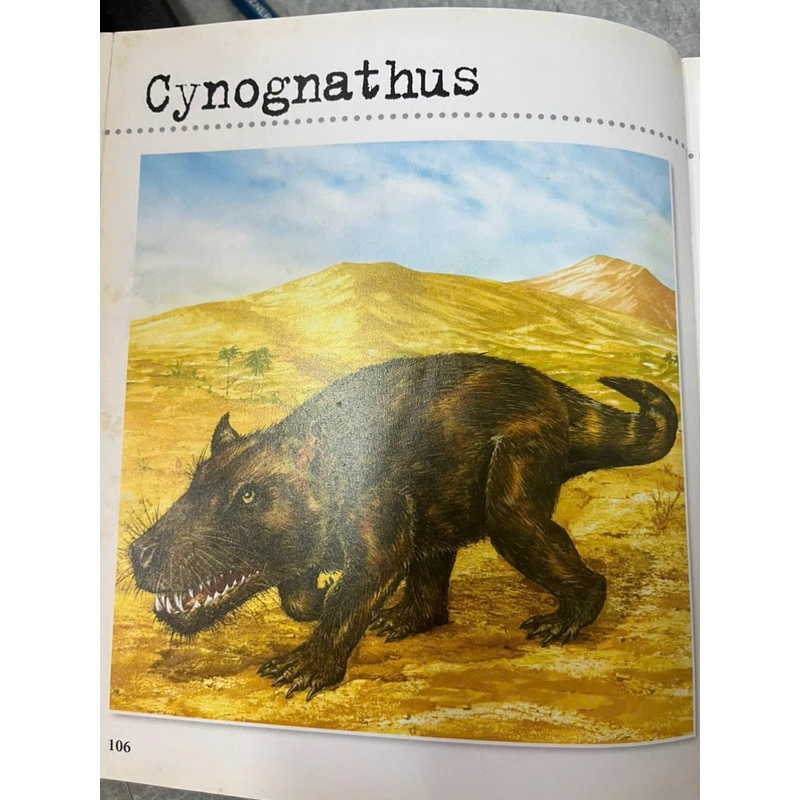 DINOSAURS&PREHISTORIC LIFE 539645