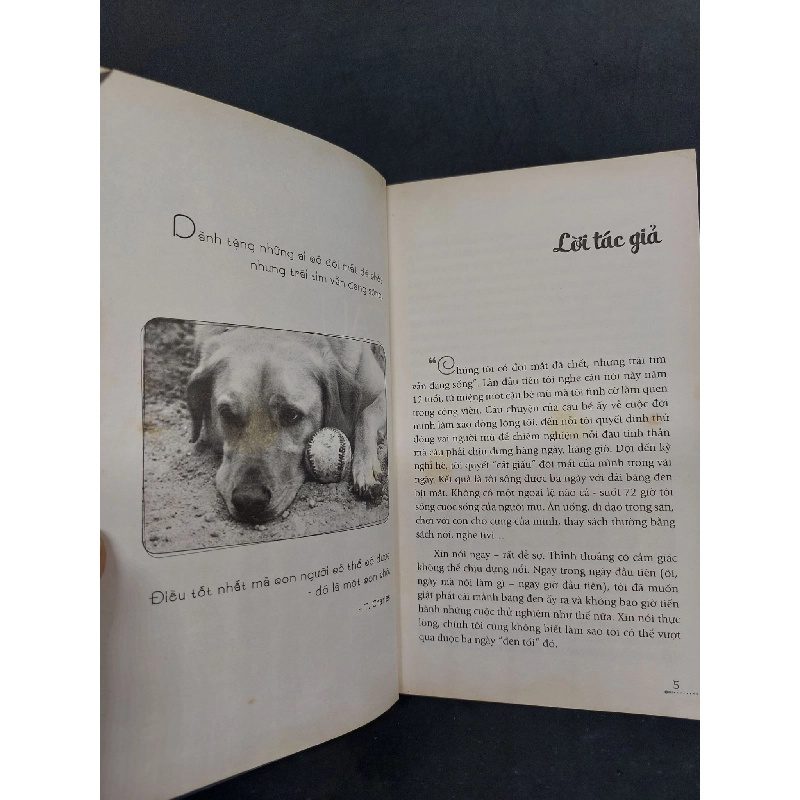 Cầu vồng trong đêm cho những trái tim đang sống tập 1 mới 80% bị ố vàng 2013 HCM2707 911787