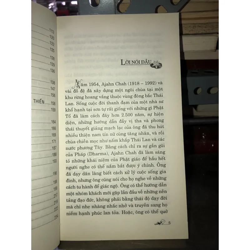 Trong vòng sinh diệt - Ajahn Chah 735839