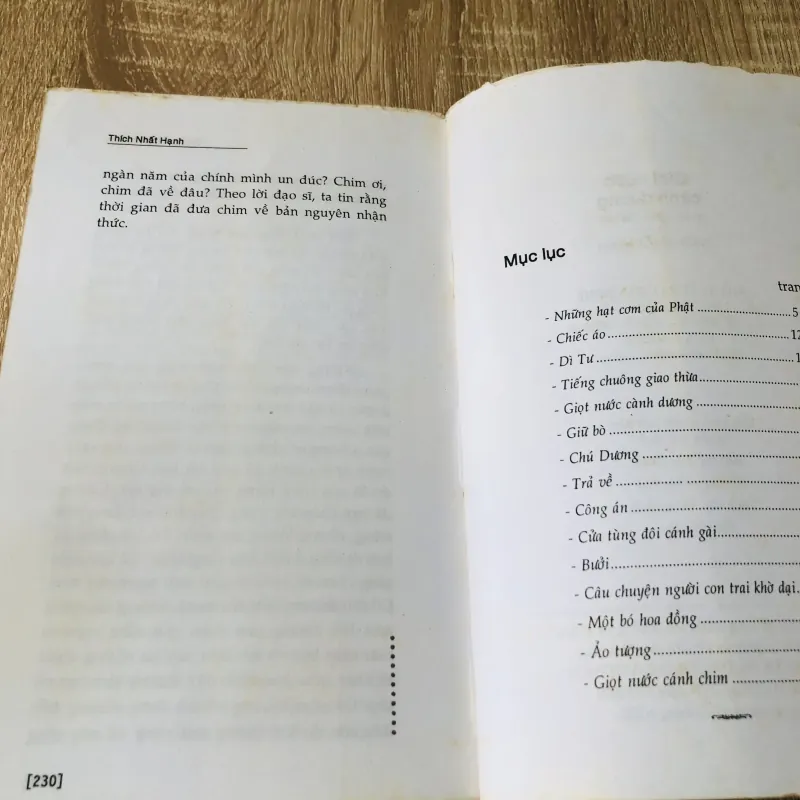 GIỌT NƯỚC CÀNH DƯƠNG ( thích Nhất Hạnh) 1024385