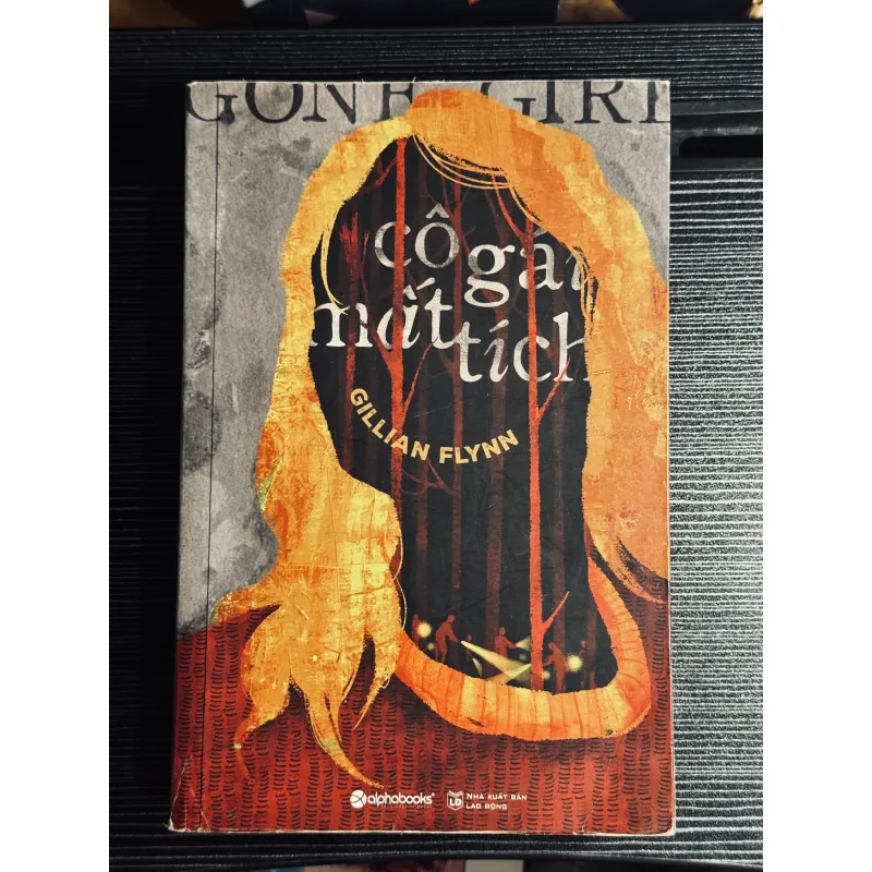 Cô gái mất tích 1025578