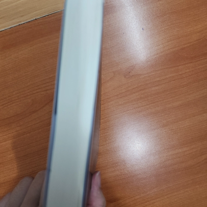 Sách Thánh giá rỗng của Higashino Keigo mới 99% 531672