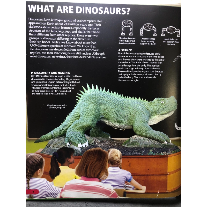 Wow! Dinosaur BÌA CỨNG mới 80% bìa bẩn tróc nhẹ DK HPB2707 NGOẠI VĂN 192104