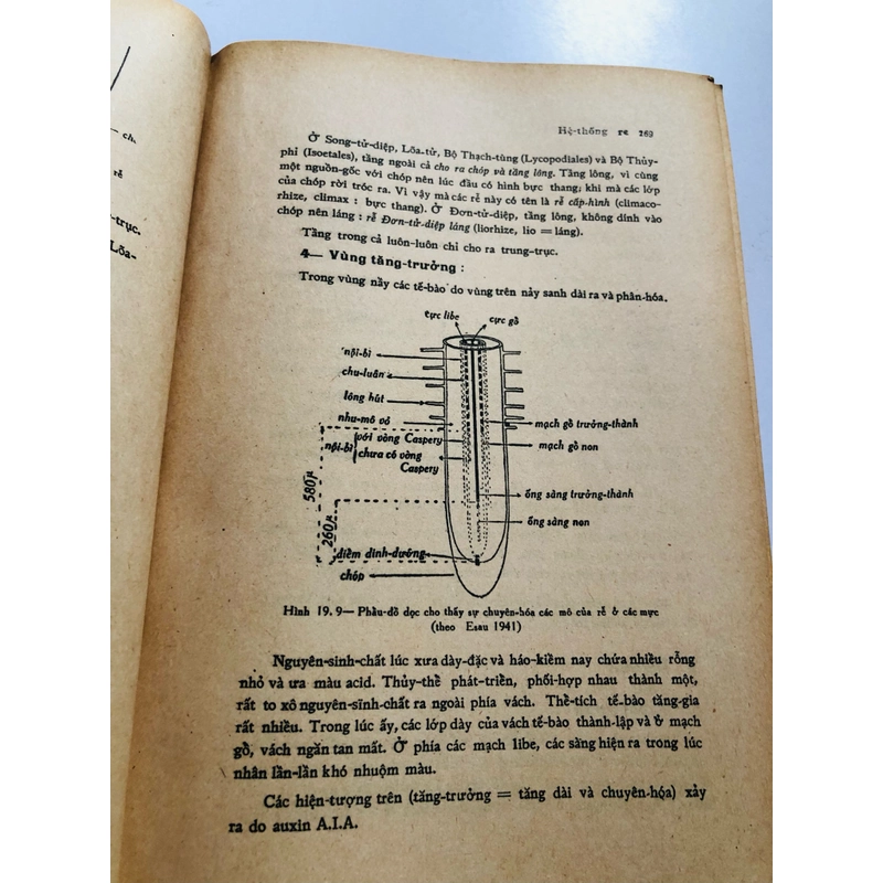 📚 SINH HỌC THỰC VẬT (Phạm Hoàng Hộ) 📚 503986