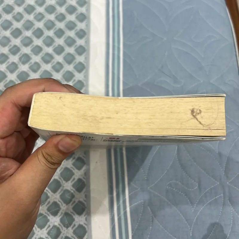 Chênh vênh - Michel Houellebecq 1000769