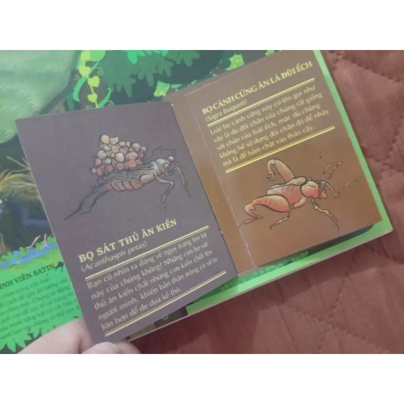 Atlas Đa Tương Tác Về Động Vật Hoang Dã 1009877