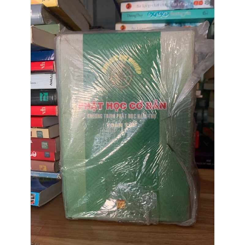 Phật học cơ bản chương trình Phật học hàm thụ 758624