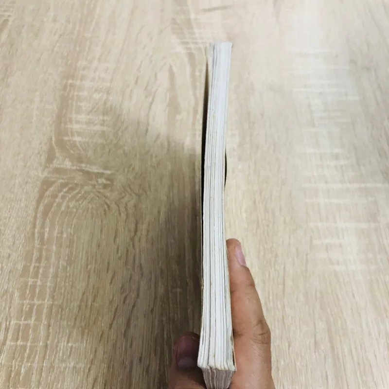 THƯƠNG NHỚ MƯỜI HAI ( Vũ Bằng) 970551