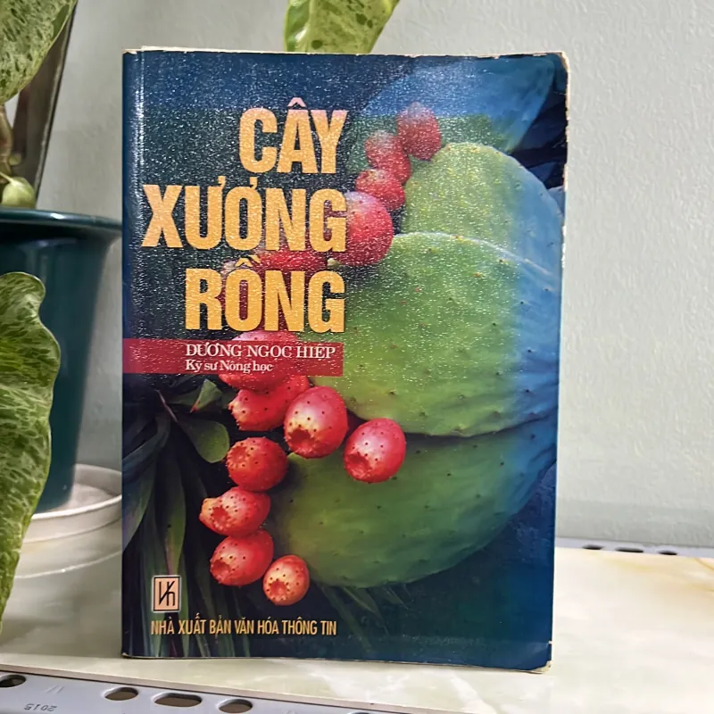 Combo kỹ thuật trồng lan - cây xương rồng 750748