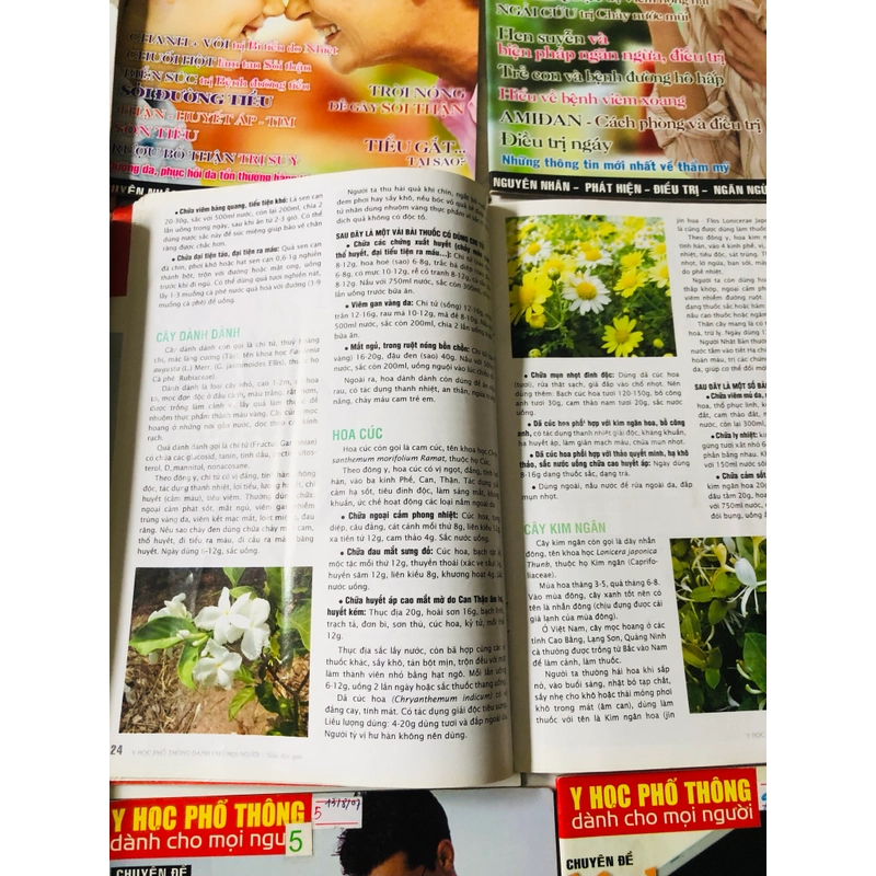 1. LÔ BÁO Y HỌC PHỔ THÔNG  541726