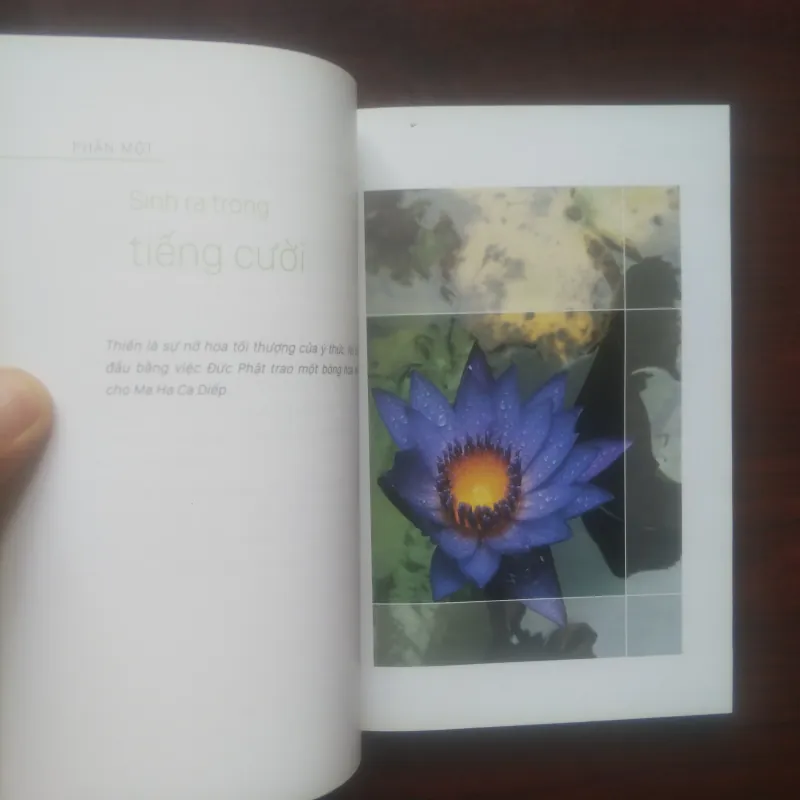 [Sách Tâm Linh] Thiền (Osho) 974624