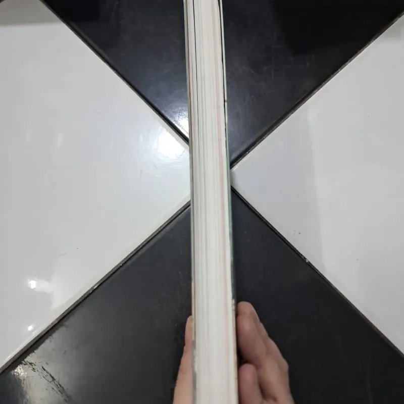 Thon mảnh cùng Slimbody 1003278