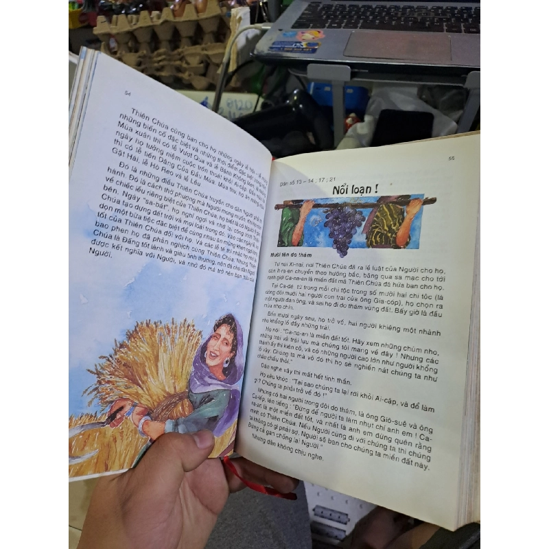 Kể chuyện kinh thánh cho thiếu niên từ 10 - 15 tuổi mới 80% ố bìa cứng TÂM LINH - TÔN GIÁO - THIỀN HCM1709 920578