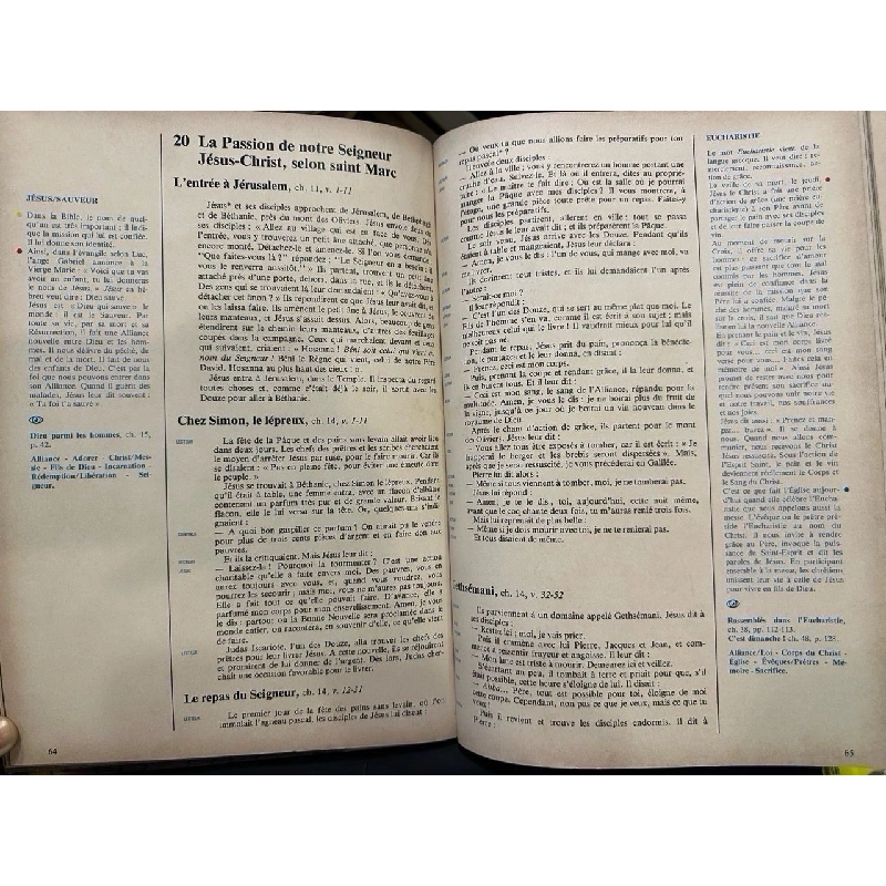 Pierres Vivantes 999580