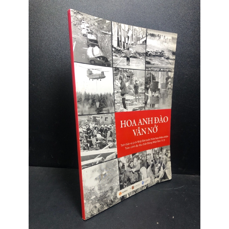 Hoa Anh đào vẫn nở, mới 90% (bẩn nhẹ) SBMQ7-0612 912924