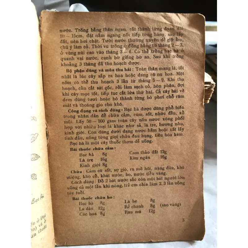 Cây thuốc gia đình - Đỗ Huy Bích  1010155