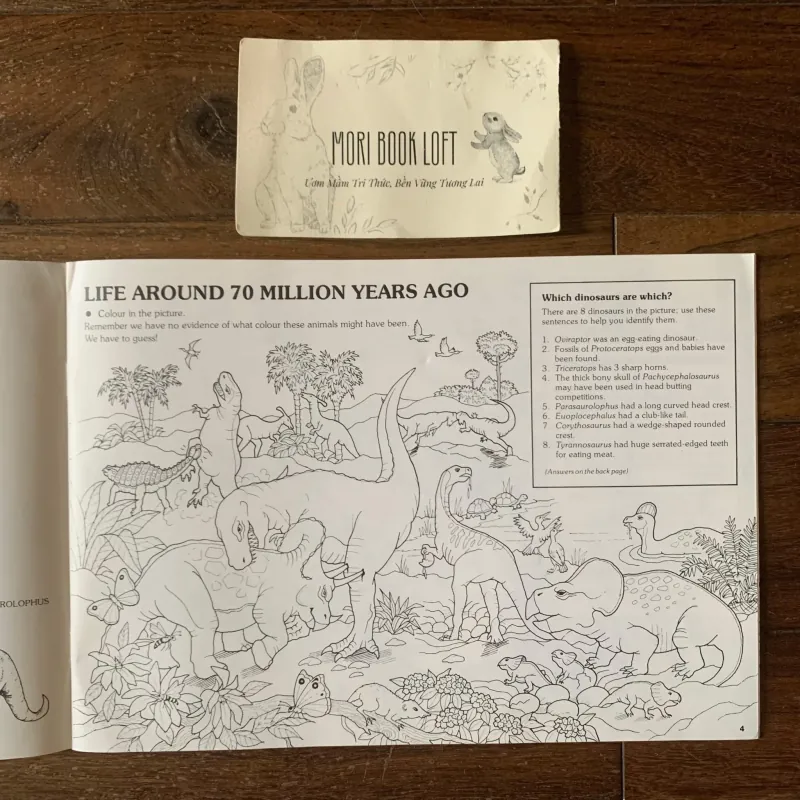 Sách ngoại văn set 4 cuốn Activity Books, Used, Bìa Mềm 756488