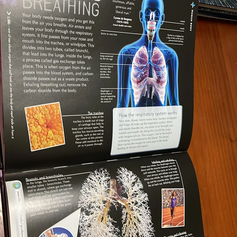 PICTURE BOOK Human body 536365