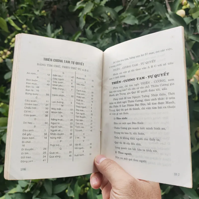 Giai Thoại Về Sấm Trạng Trình - Đỗ Ngọc Minh 762216