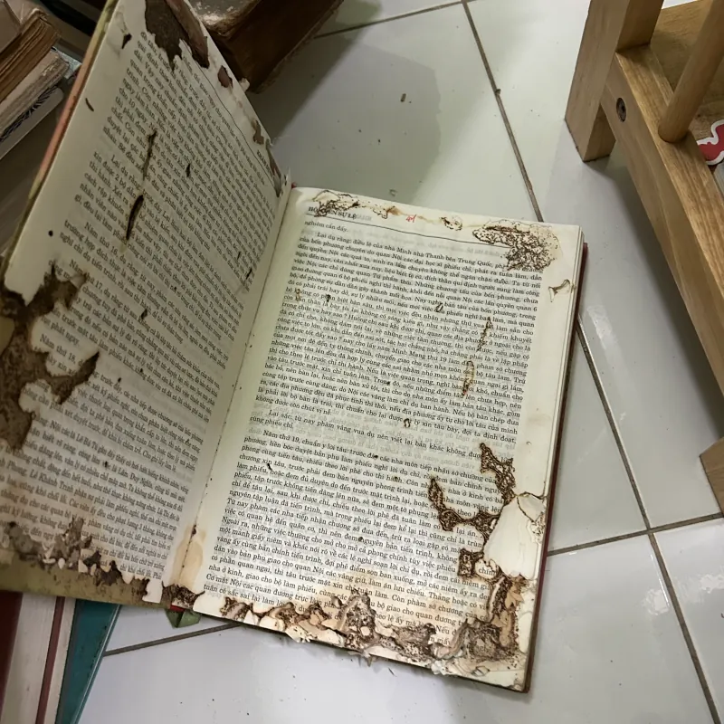 Khâm Định Đại Nam Hội Điển Sự Lệ (Trọn bộ 8 Tập) (sách xấu, xem mô tả) 1019717