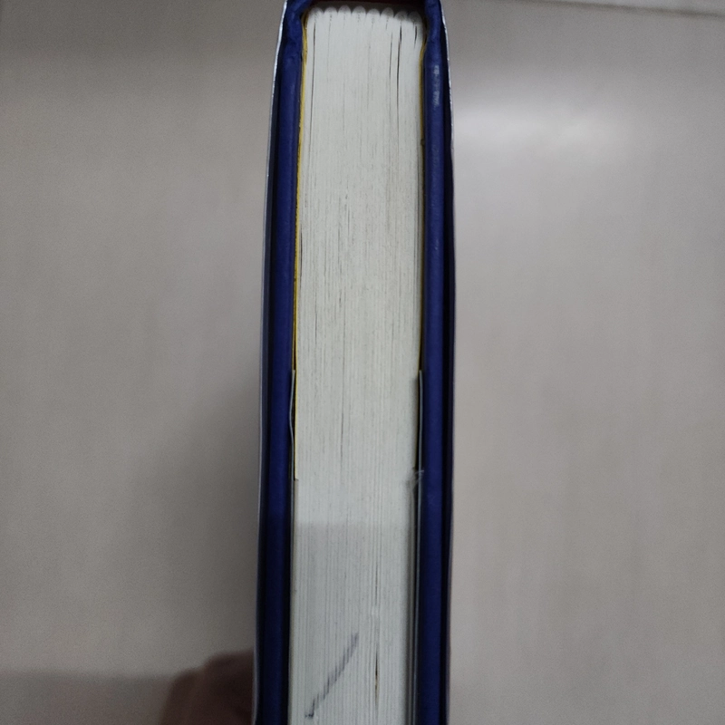 Sách Wild & Chance của Allen Zadoff mới 97% 508798