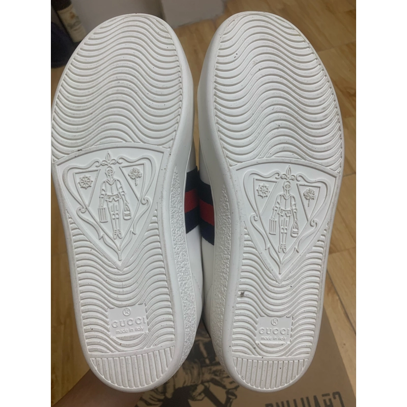 Giày Gucci trắng 459899