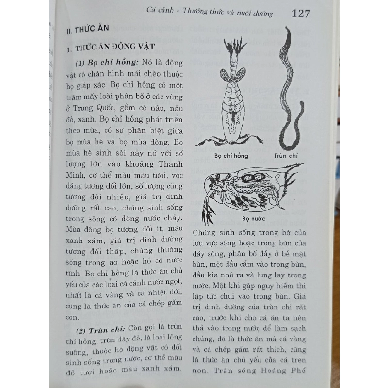 Cá cảnh: Thưởng thức & nuôi dưỡng - Saigonbook (biên soạn) 546310