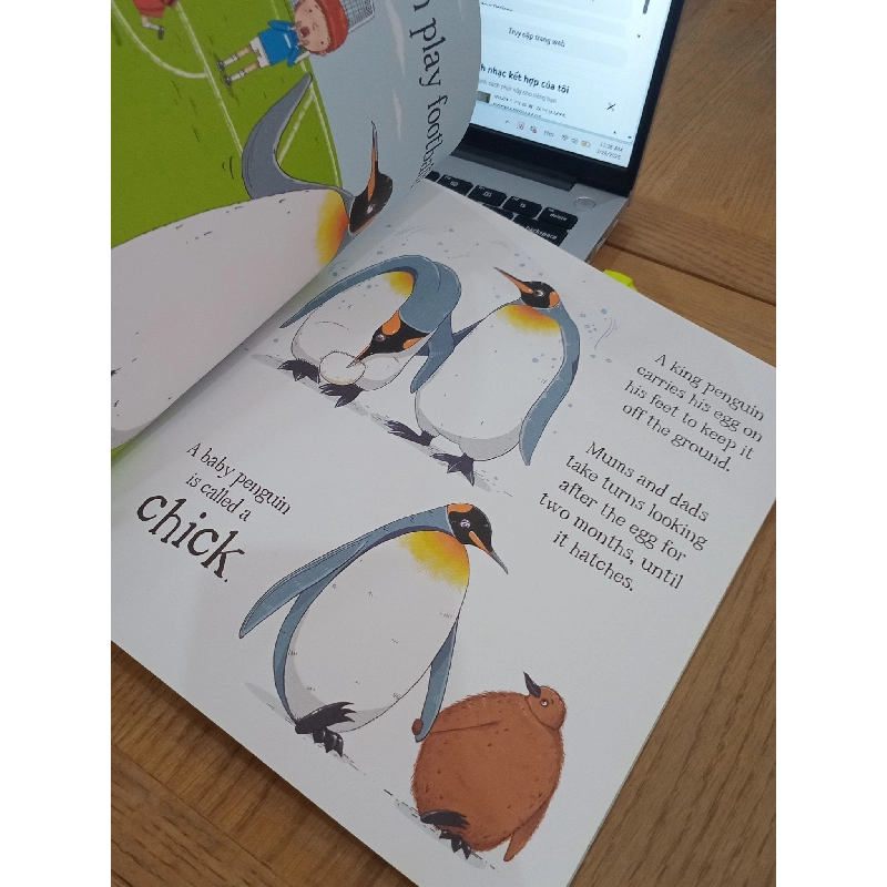 Could a penguin ride a bike and other questions - Aleksei Bitskoff, Camilla de la Bédoyère - QED 995420