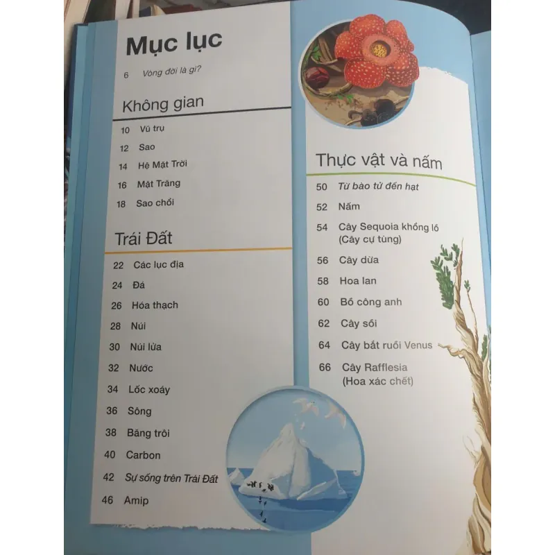 Vòng Đời - Vạn Vật Từ Khởi Đầu Cho Đến Kết Thúc 1009017