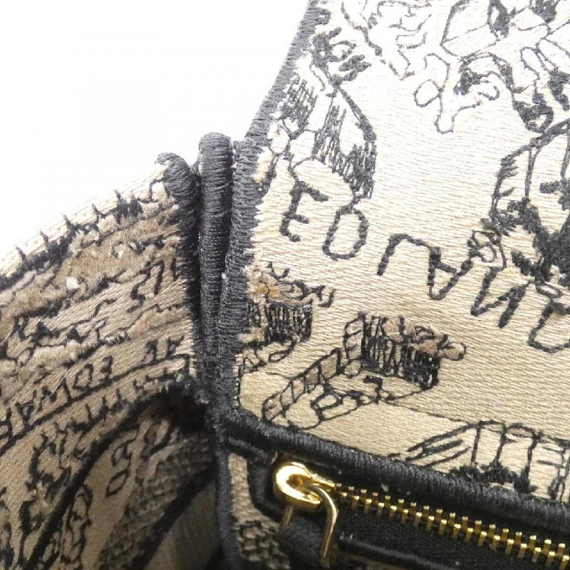 Túi xách nữ D-Light Medium PLAN DE PARIS của Christian Dior 618671