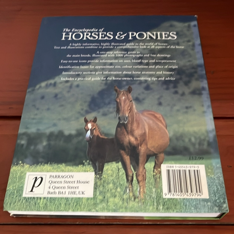 PICTURE BOOK The encyclopedia of horses & ponies 536946