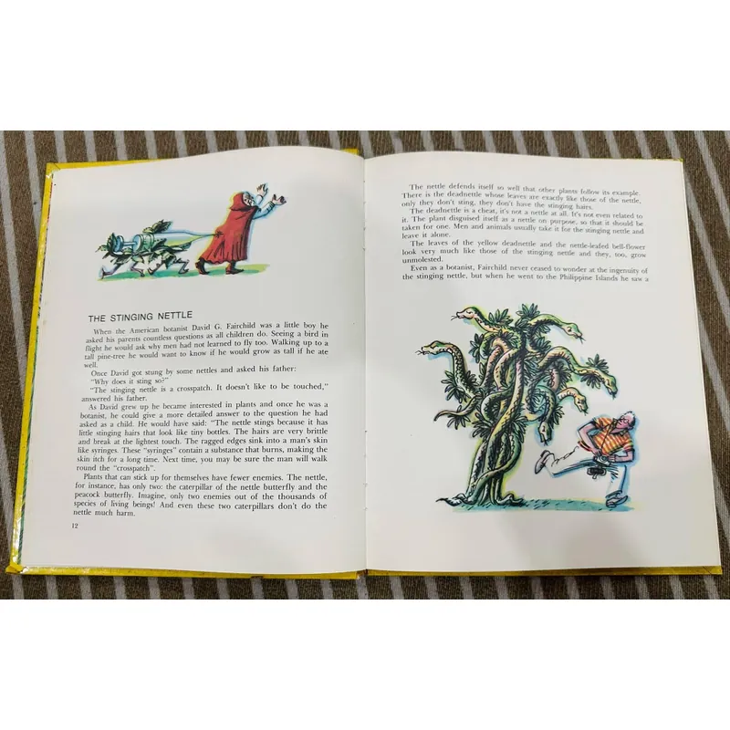 The Magic Tree (Cây thần kỳ) Bìa cứng  599391