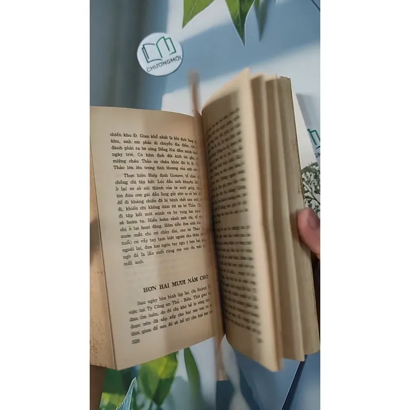 [XƯA] Combo Cây Bút Vàng 1,2 (1999) - Nhiều tác gỉa 798304