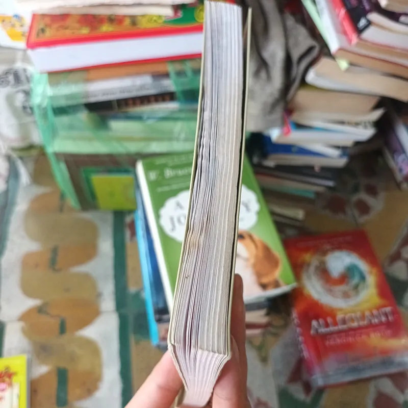 Vô Tri - Milan Kundera 709469