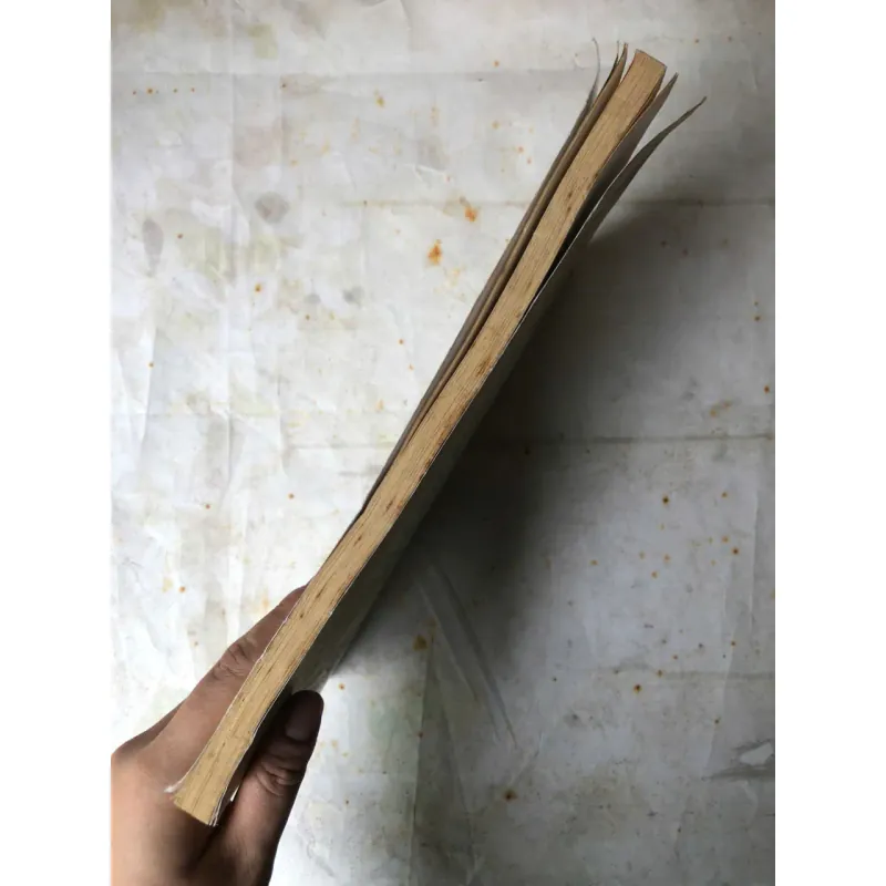 Đêm Gành Hào Nghe Điệu Hoài Lang - Vũ Đức Sao Biển 974417