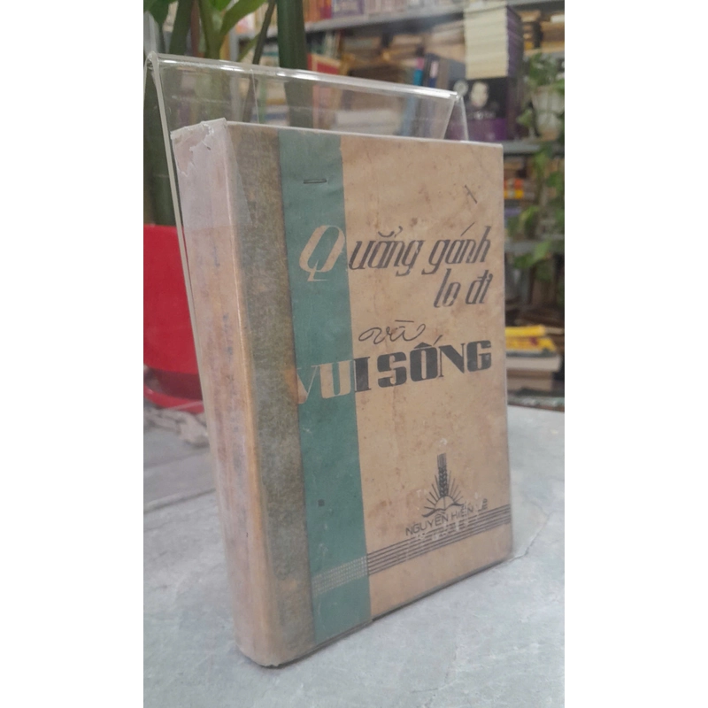 QUẲNG GÁNH LO ĐI VÀ VUI SỐNG 443170