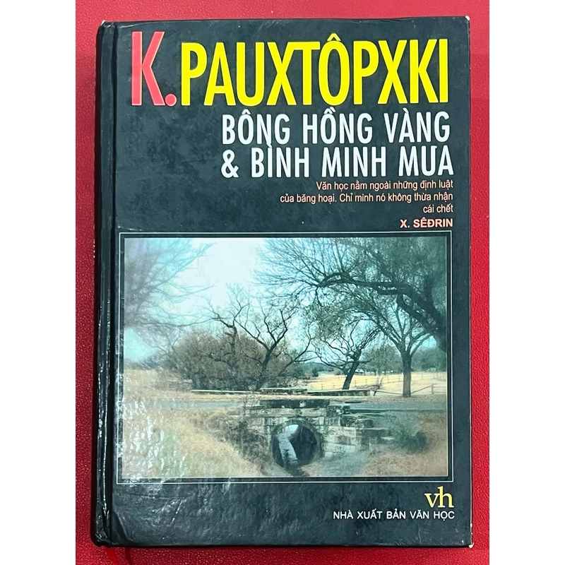 Bông Hồng Vàng và Bình Minh Mưa - Paustovsky 325511