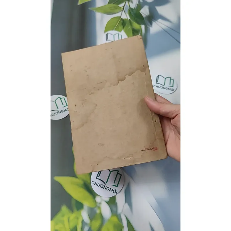 [XƯA] Những Chuyện Thánh Thần (1985) 775980