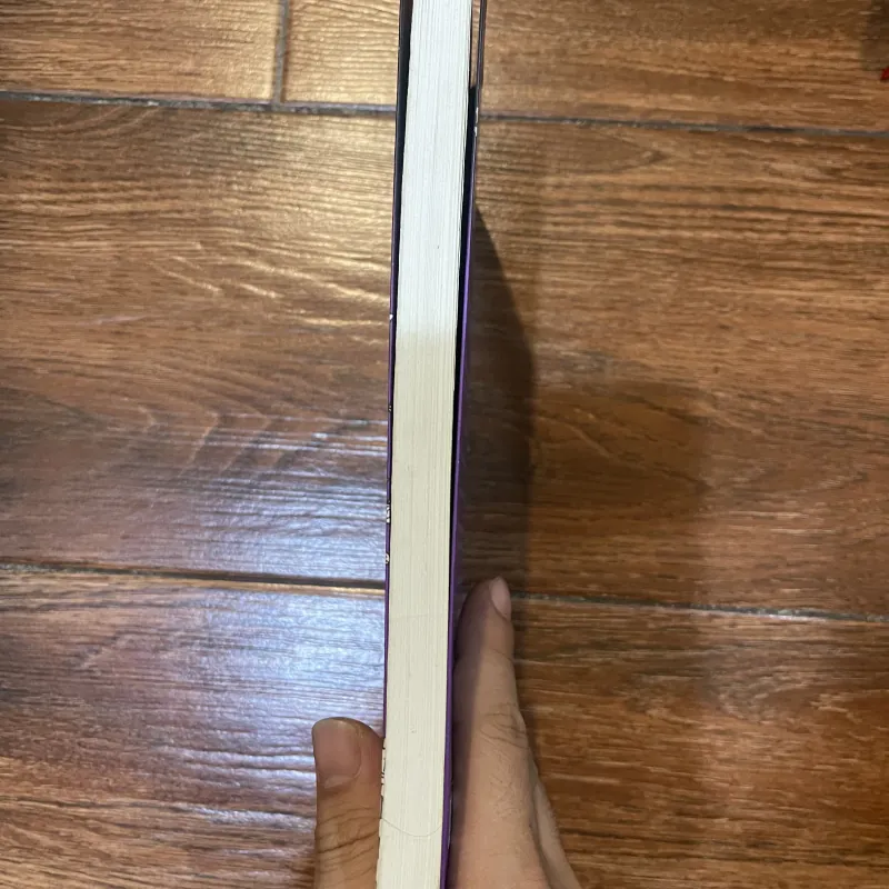 Lên gác rút thang - Ha-Joon Chang (12) 1030793