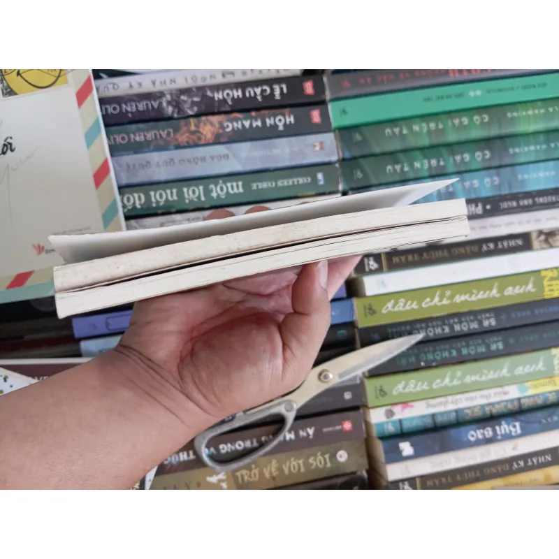 Giá trị nội tại _ An nhiên 993306