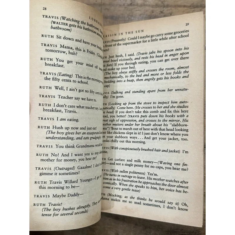 A Raisin in the Sun - Lorraine Hansberry 735422