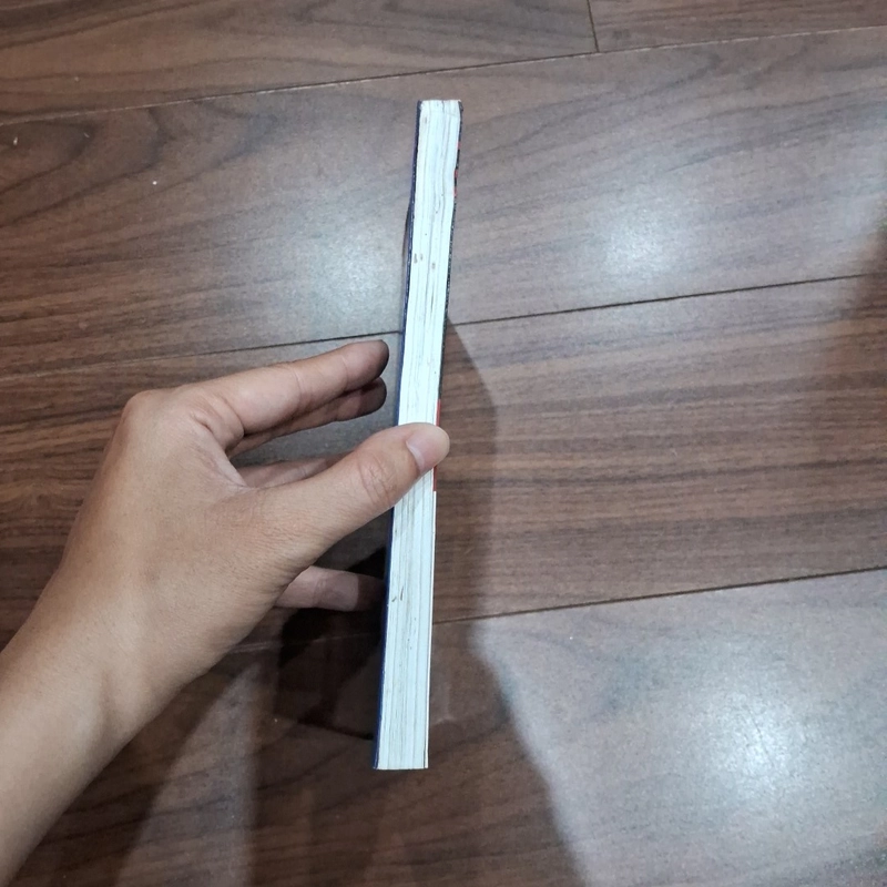 Hồ hoàn kiếm và đền ngọc sơn 516436