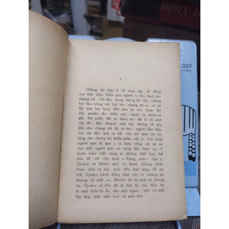 Sách: Mùa thu cuối cùng - TG: Erich Maria Remarque (A2) 751447