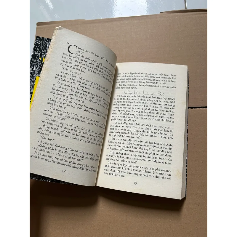 Những người không biết yêu xa - Nguyễn Đăng Vĩnh Trung 800182